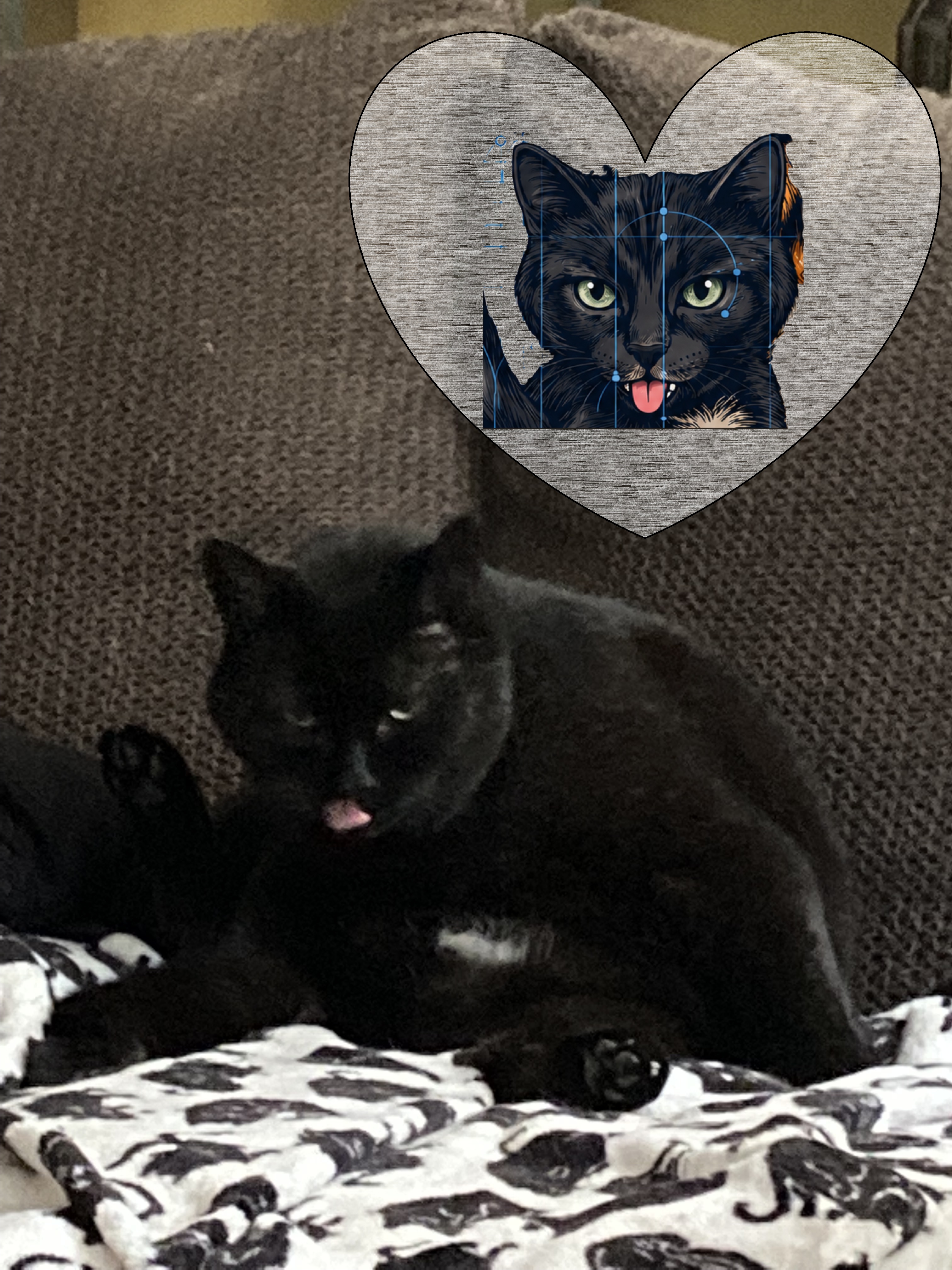 Coco