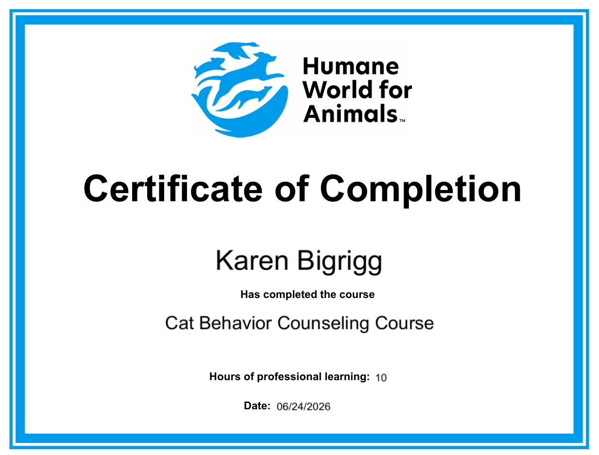HWA Feline Behavior Counseling