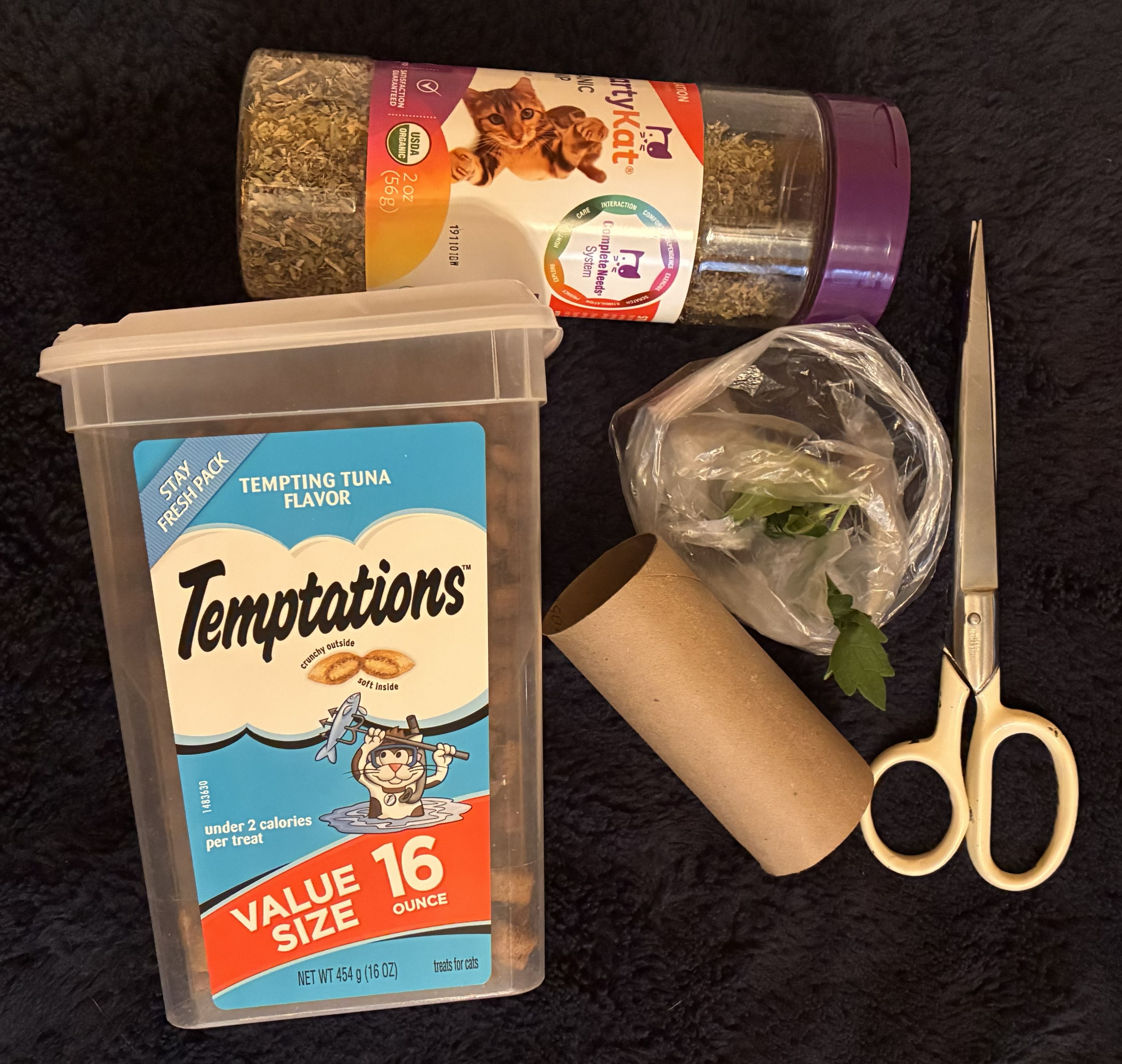 Image Error!